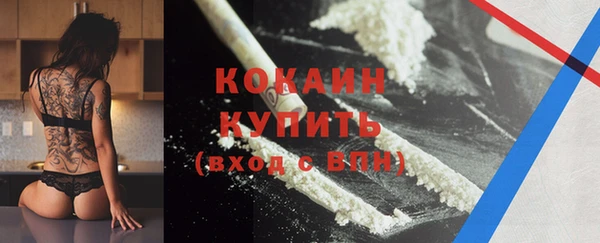 соль ск Богданович