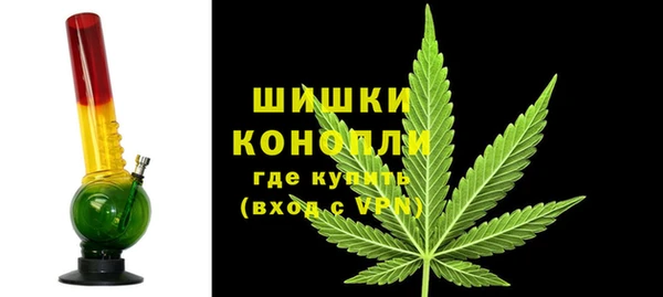 соль ск Богданович