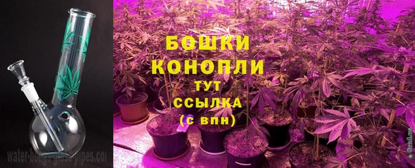 соль ск Богданович