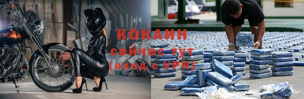 соль ск Богданович