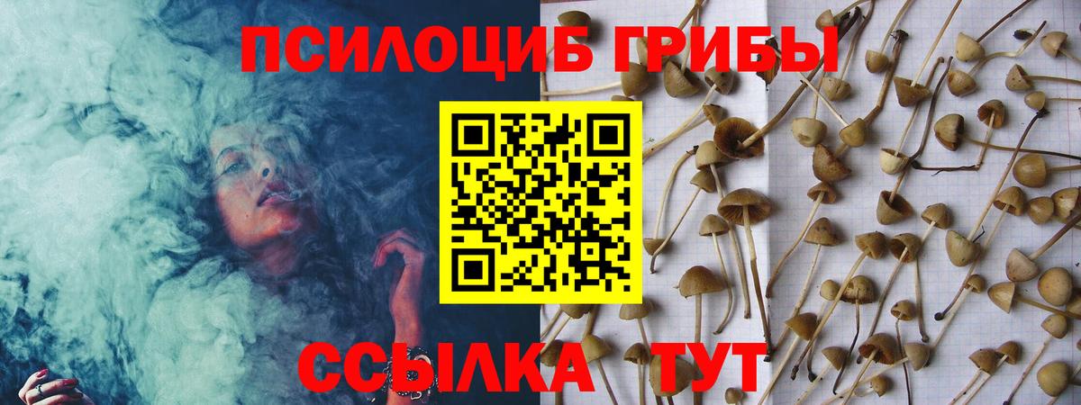Галлюциногенные грибы ЛСД  Галлюциногенные грибы Cubensis  Вход с VPN  где найти наркотики  Бугульма 